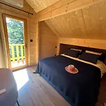 15 Personne En Foret Avec Netflix And Canal