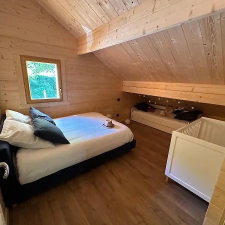 15 Personne En Foret Avec Netflix And Canal