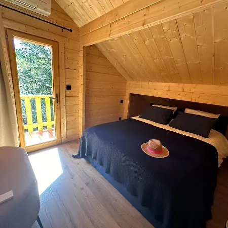 15 Personne En Foret Avec Netflix And Canal