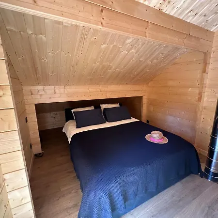 15 Personne En Foret Avec Netflix And Canal *
