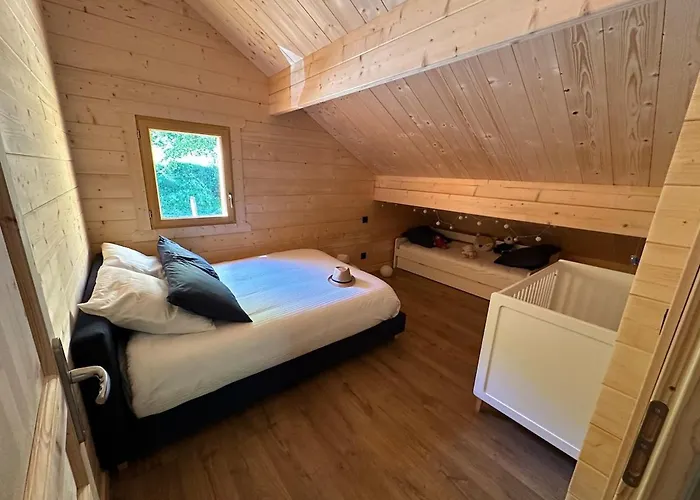 15 Personne En Foret Avec Netflix And Canal