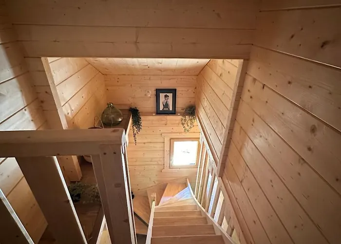 15 Personne En Foret Avec Netflix And Canal Holiday home