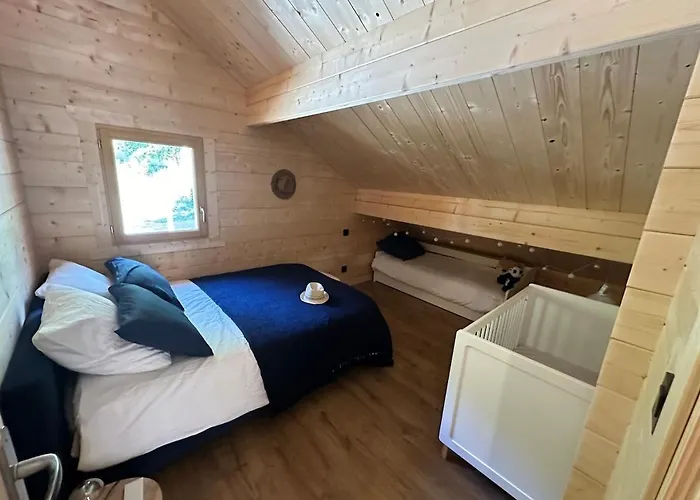 15 Personne En Foret Avec Netflix And Canal * L'Esperou