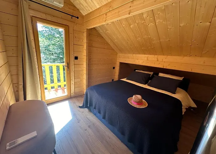15 Personne En Foret Avec Netflix And Canal